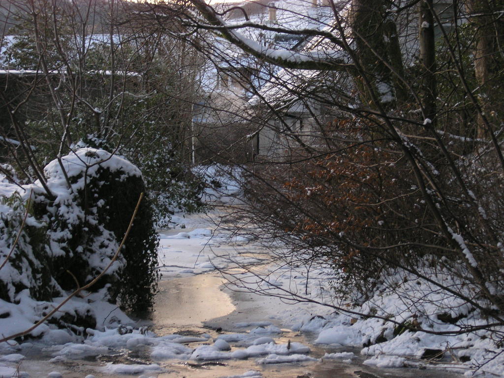 Whistlers Dell B&B Rhu Exteriér fotografie