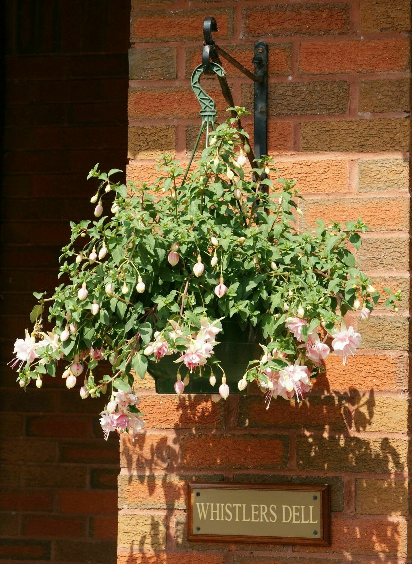 Whistlers Dell B&B Rhu Exteriér fotografie